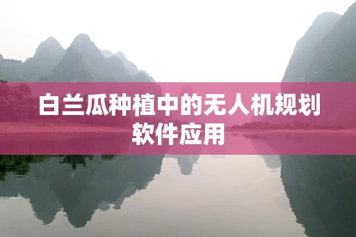 白兰瓜种植中的无人机规划软件应用