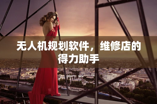 无人机规划软件，维修店的得力助手