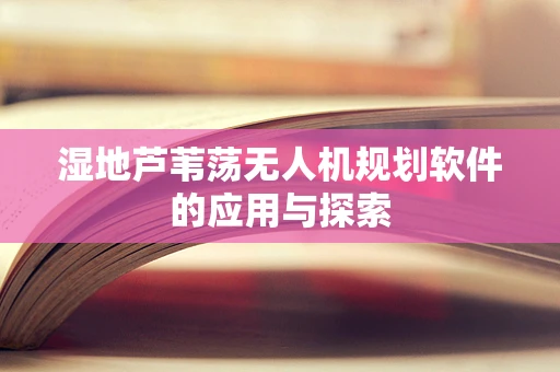 湿地芦苇荡无人机规划软件的应用与探索