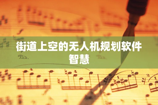 街道上空的无人机规划软件智慧