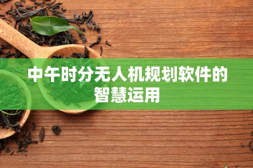 中午时分无人机规划软件的智慧运用