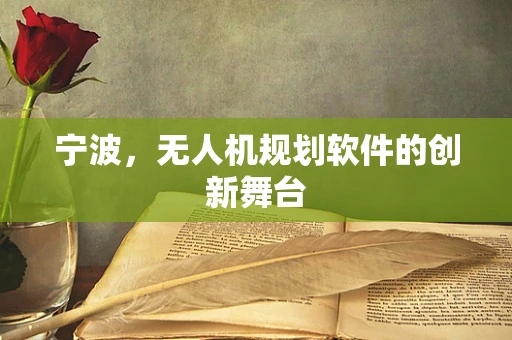 宁波，无人机规划软件的创新舞台