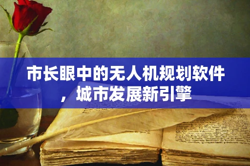 市长眼中的无人机规划软件，城市发展新引擎