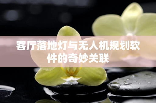 客厅落地灯与无人机规划软件的奇妙关联