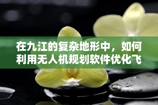 在九江的复杂地形中，如何利用无人机规划软件优化飞行路径？