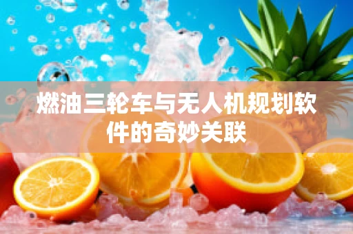 燃油三轮车与无人机规划软件的奇妙关联