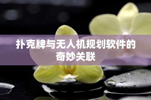 扑克牌与无人机规划软件的奇妙关联