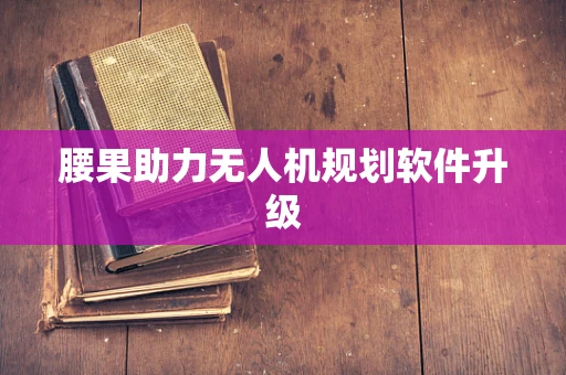 腰果助力无人机规划软件升级