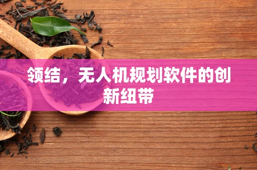 领结，无人机规划软件的创新纽带