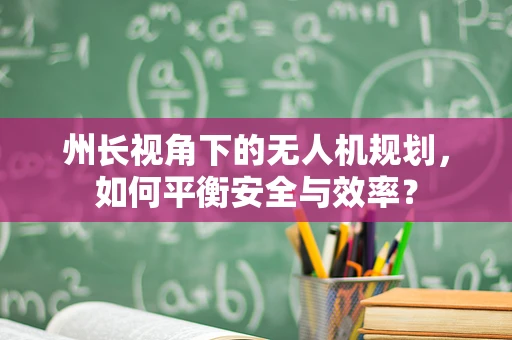州长视角下的无人机规划，如何平衡安全与效率？