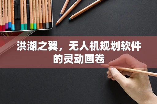洪湖之翼，无人机规划软件的灵动画卷