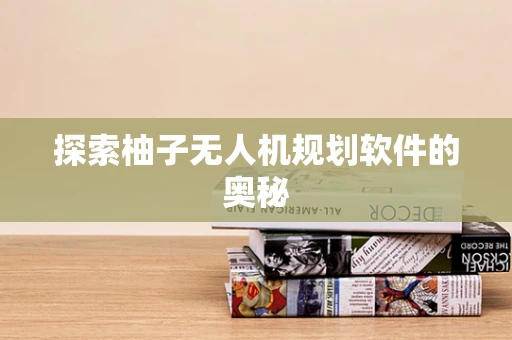 探索柚子无人机规划软件的奥秘
