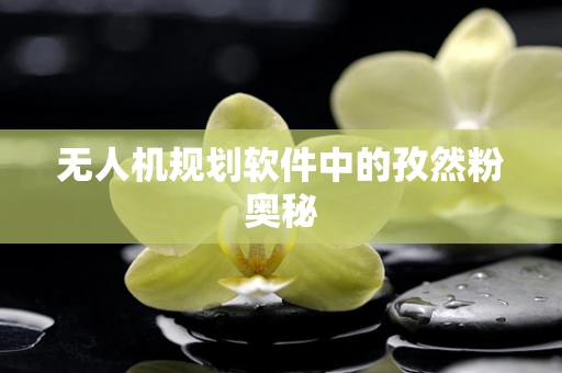 无人机规划软件中的孜然粉奥秘