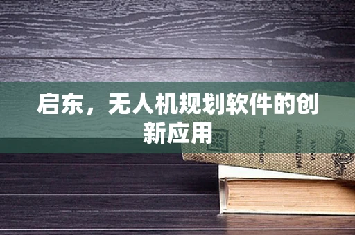 启东，无人机规划软件的创新应用