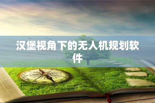 汉堡视角下的无人机规划软件