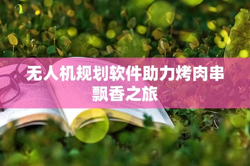无人机规划软件助力烤肉串飘香之旅