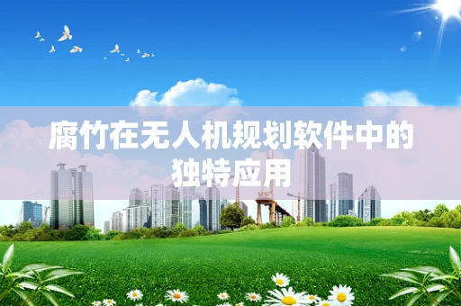 腐竹在无人机规划软件中的独特应用