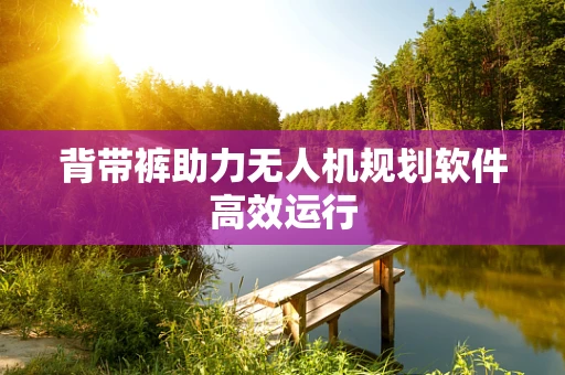 背带裤助力无人机规划软件高效运行