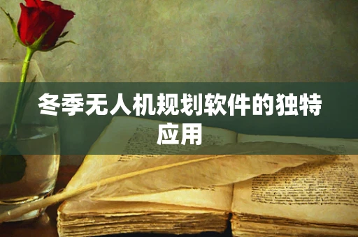 冬季无人机规划软件的独特应用