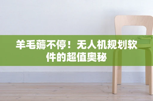 羊毛薅不停！无人机规划软件的超值奥秘