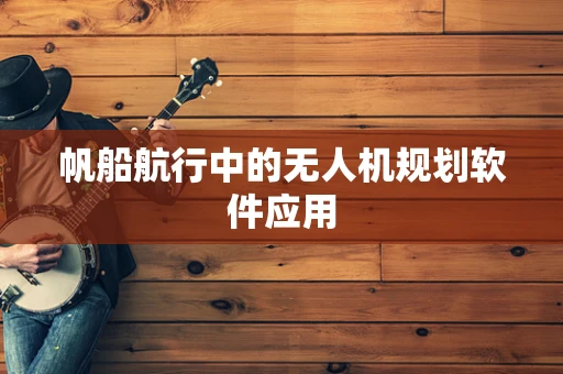 帆船航行中的无人机规划软件应用