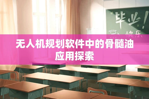 无人机规划软件中的骨髓油应用探索