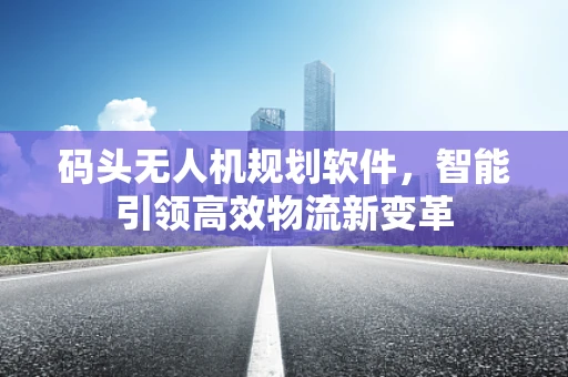 码头无人机规划软件，智能引领高效物流新变革