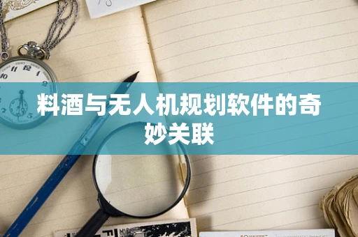 料酒与无人机规划软件的奇妙关联