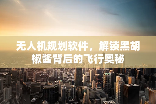 无人机规划软件，解锁黑胡椒酱背后的飞行奥秘