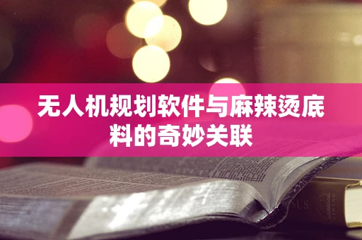 无人机规划软件与麻辣烫底料的奇妙关联