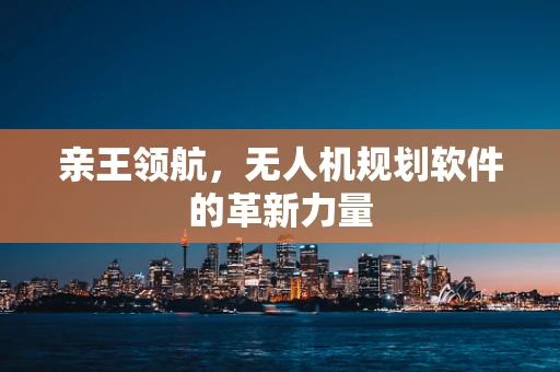 亲王领航，无人机规划软件的革新力量