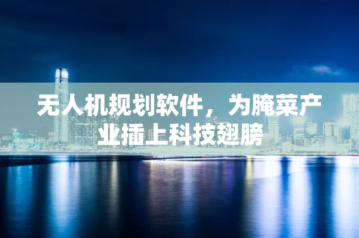 无人机规划软件，为腌菜产业插上科技翅膀