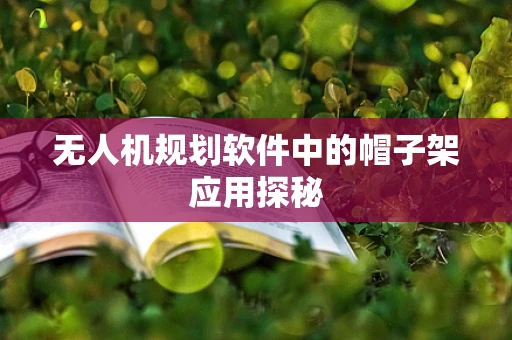 无人机规划软件中的帽子架应用探秘