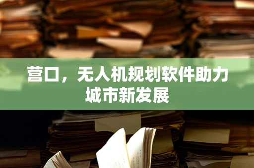 营口，无人机规划软件助力城市新发展