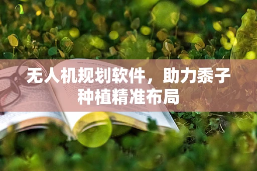 无人机规划软件，助力黍子种植精准布局