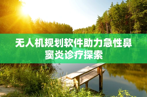 无人机规划软件助力急性鼻窦炎诊疗探索