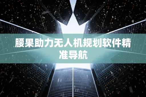 腰果助力无人机规划软件精准导航