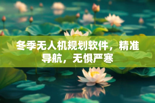 冬季无人机规划软件，精准导航，无惧严寒