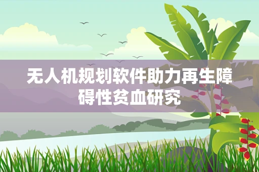 无人机规划软件助力再生障碍性贫血研究
