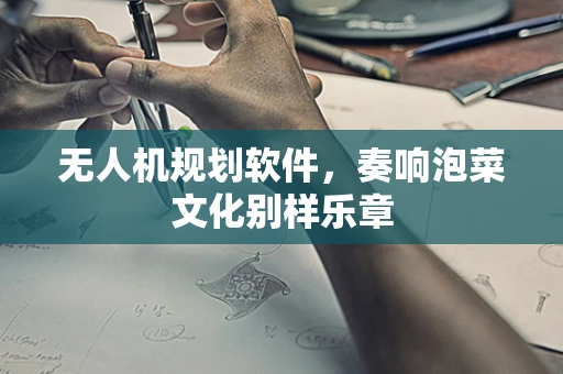 无人机规划软件，奏响泡菜文化别样乐章