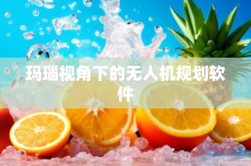 玛瑙视角下的无人机规划软件