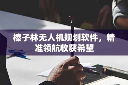 榛子林无人机规划软件，精准领航收获希望